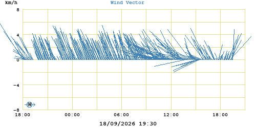 Wind Vector